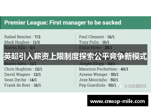 英超引入薪资上限制度探索公平竞争新模式