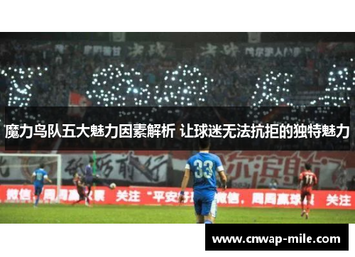 魔力鸟队五大魅力因素解析 让球迷无法抗拒的独特魅力