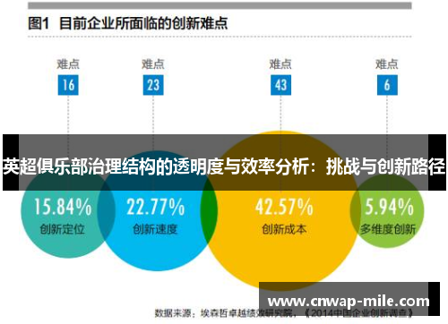 英超俱乐部治理结构的透明度与效率分析：挑战与创新路径