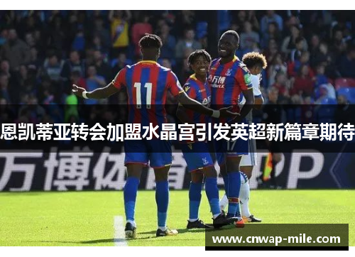 恩凯蒂亚转会加盟水晶宫引发英超新篇章期待
